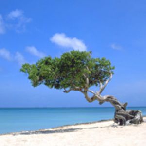 Aruba-Photo