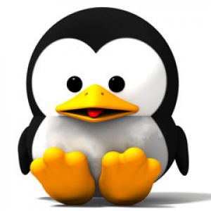 Baby Tux Sit