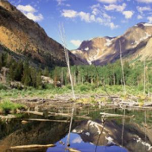 Beaver-Pond -Lundy-Canyon Sierra-Nevada-Range Cali