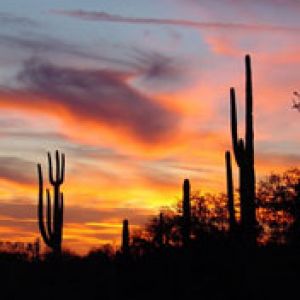 Arizona Sunset