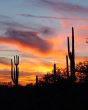 Arizona Sunset