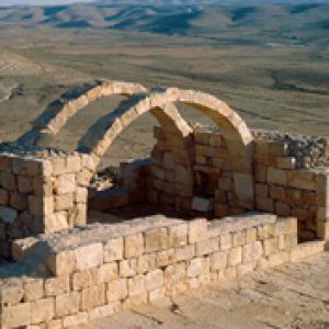 Avdat -Negev-Deser -Israel 