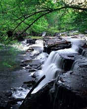 Big-Falls -Old-Stone-Fort-State-Park -Manchester -