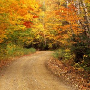 Autumn Color - Baxter-State-Park - Maine