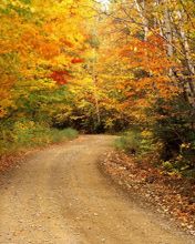 Autumn Color - Baxter-State-Park - Maine