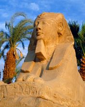 Avenue of Sphinxes - Luxor - Egypt
