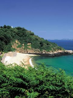 Guernsey