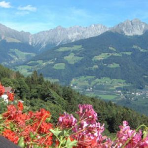 Tirol