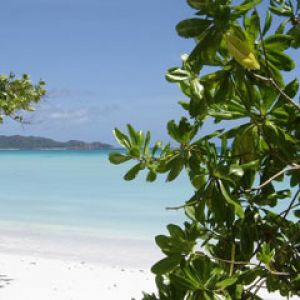 Seychelles-Beach-Praslin