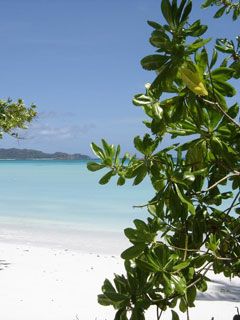 Seychelles-Beach-Praslin