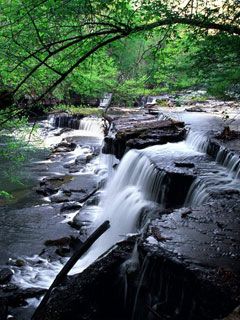 Big-Falls -Old-Stone-Fort-State-Park -Manchester T