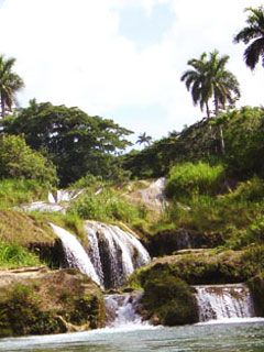 Cuba el Nicho