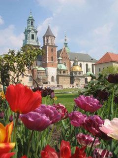 Krakow