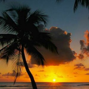 Beaches Afternoon-Delight-at-Tobago