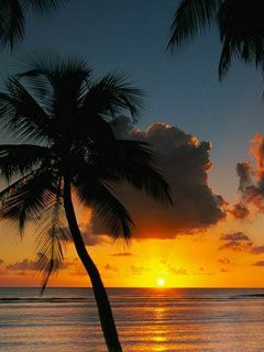 Beaches Afternoon-Delight-at-Tobago