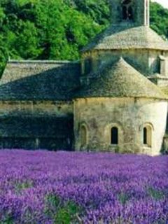 Provence - Abbaye