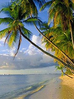 Tobago