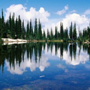Balsam-Lake -Mount-Revelstoke-National-Park -Briti