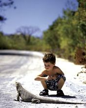 cayman-islands