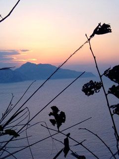 Capri