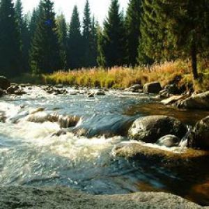Sumava