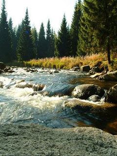 Sumava