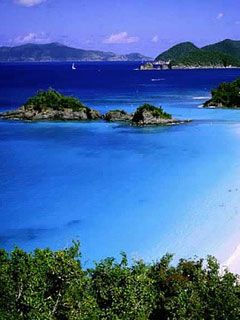 Trunk - Bay Virgin - Islands