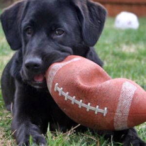 mouthful of football