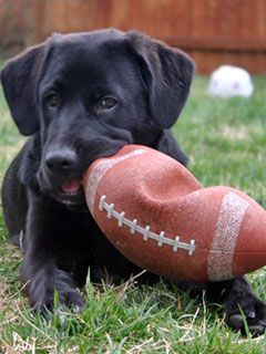 mouthful of football