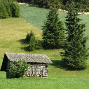 Tirol
