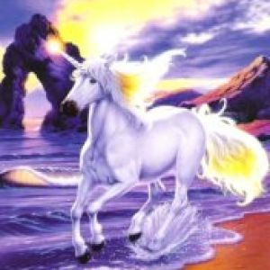 Unicorn