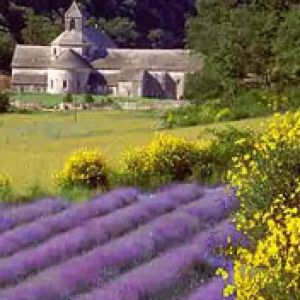 Learn french in Provence