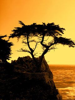 Cyprus