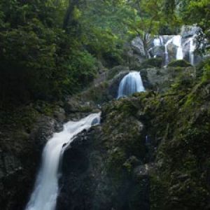 Trinidad Tobago