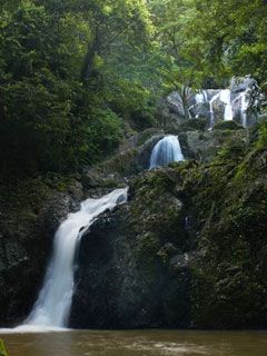 Trinidad Tobago