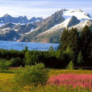 Mendenhall Glacier Alaska