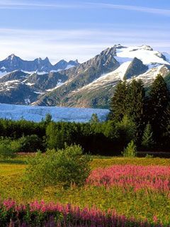 Mendenhall Glacier Alaska