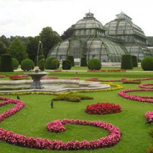 Wien - Glasshaus