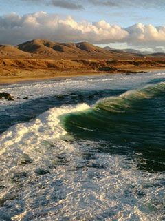 Fuerteventura - Canary Islands - Spain