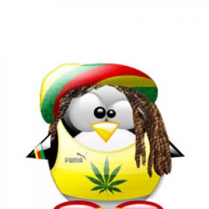 Rasta penguin