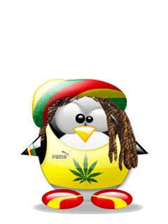 Rasta penguin