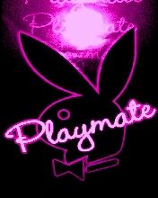 Playmate