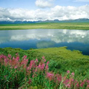 Alaska-Range -Alaska