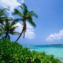 Carib