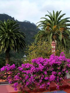 Madeira