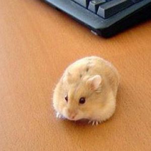 Cordless Mouse