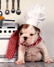 Master Chef