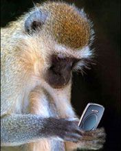 posli sms