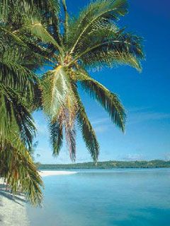 New Zeland