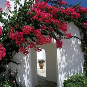 Athen
